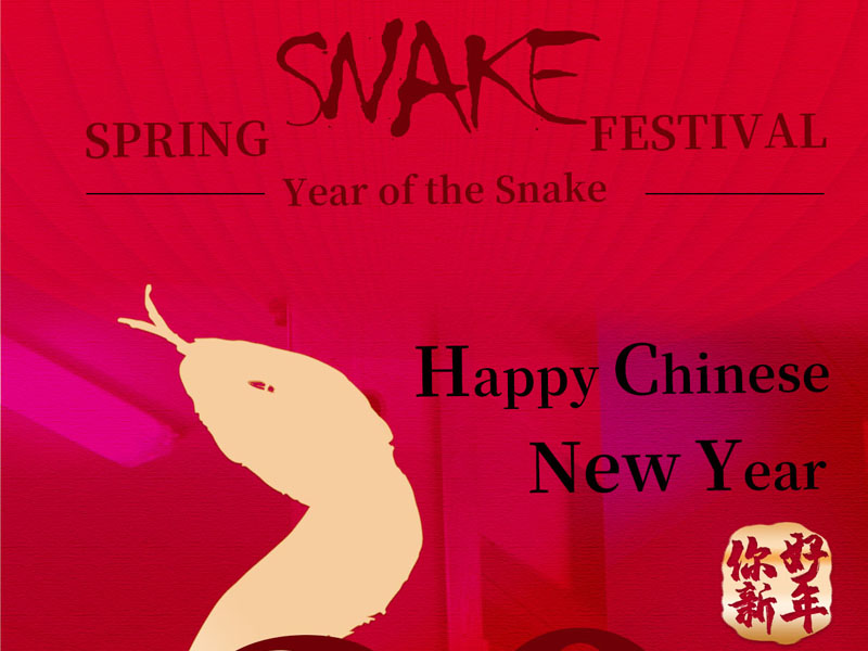 Chinese New Year Holiday Notice